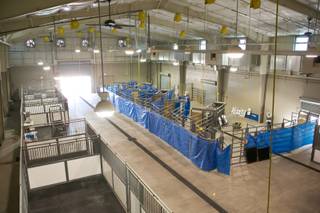 A view of the large indoor animal pen at the Oquendo Center, an educational medical facility, Wednesday April 17, 2013.